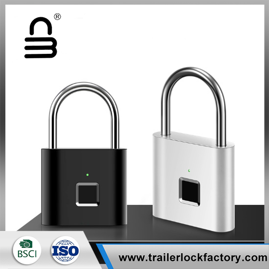 Mini Lock de sécurité intelligente sans clé